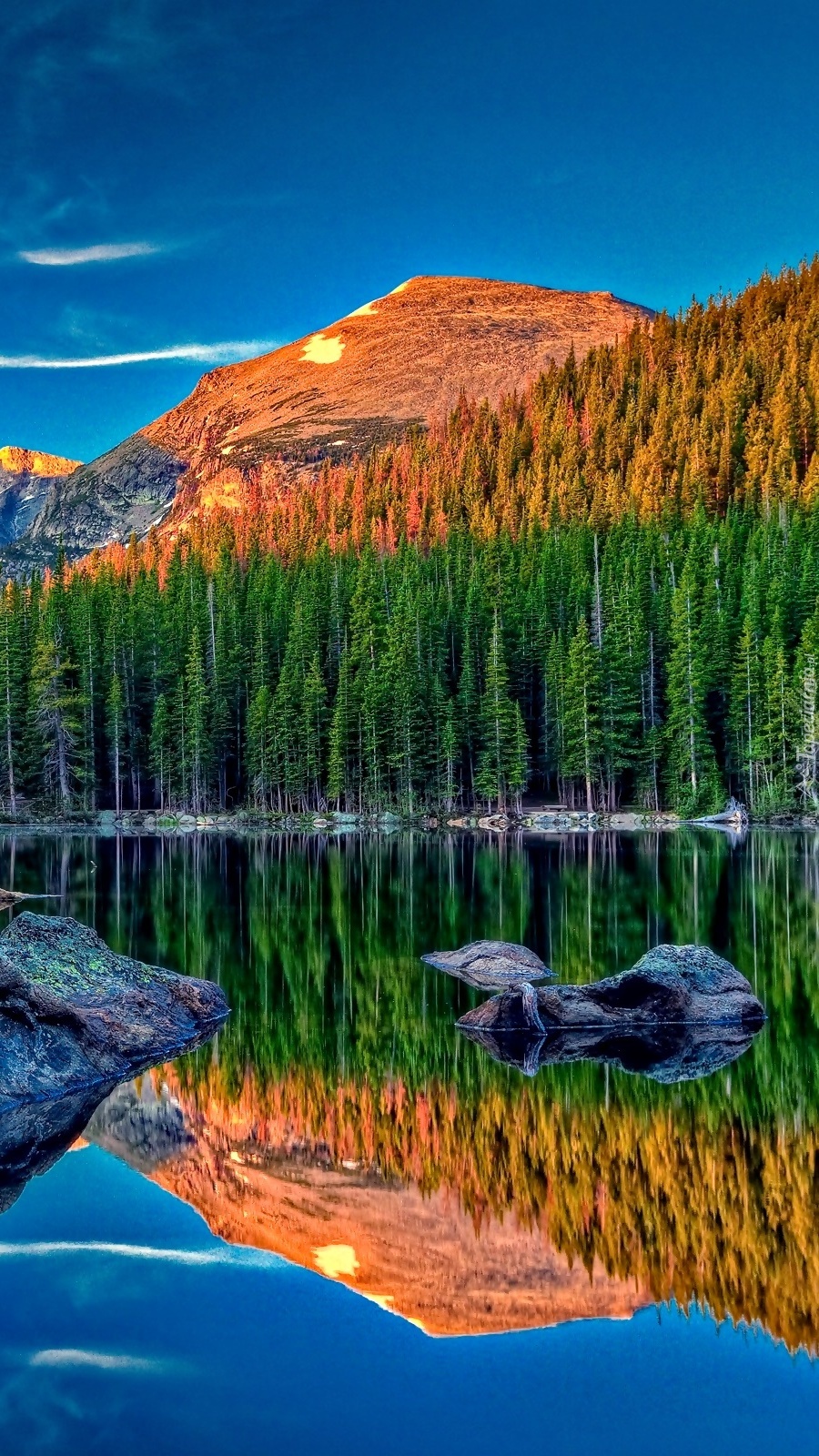 Las i góry odbite w jeziorze
