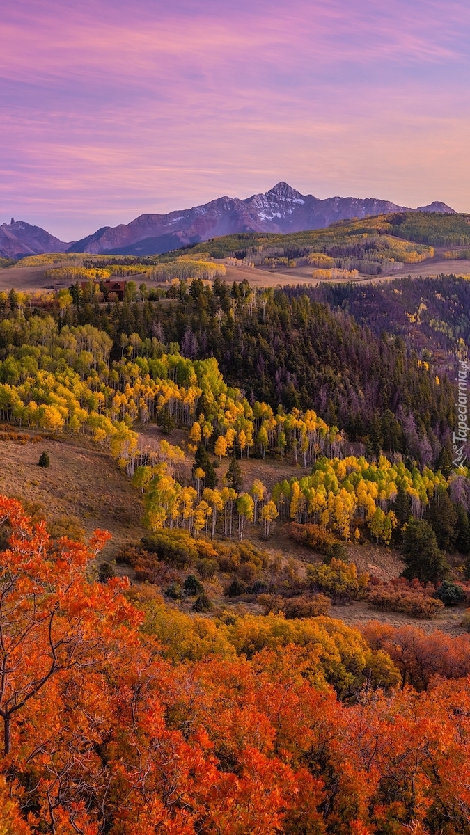 Las i góry San Juan Mountains