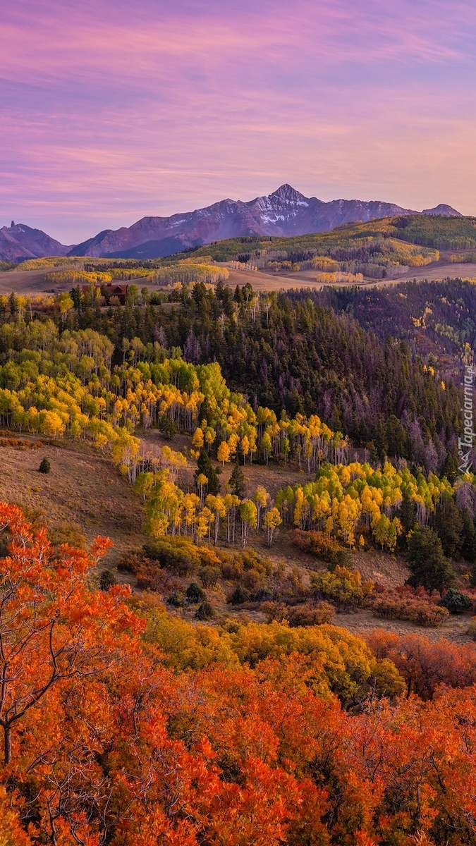 Las i góry San Juan Mountains