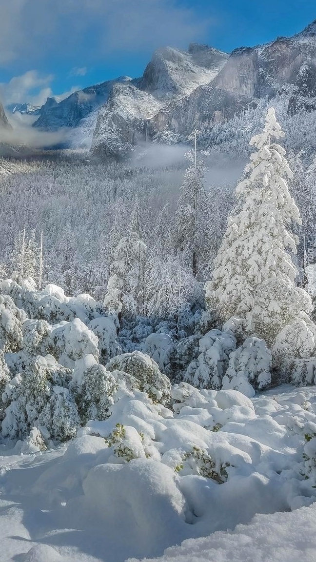 Las i góry w śniegu