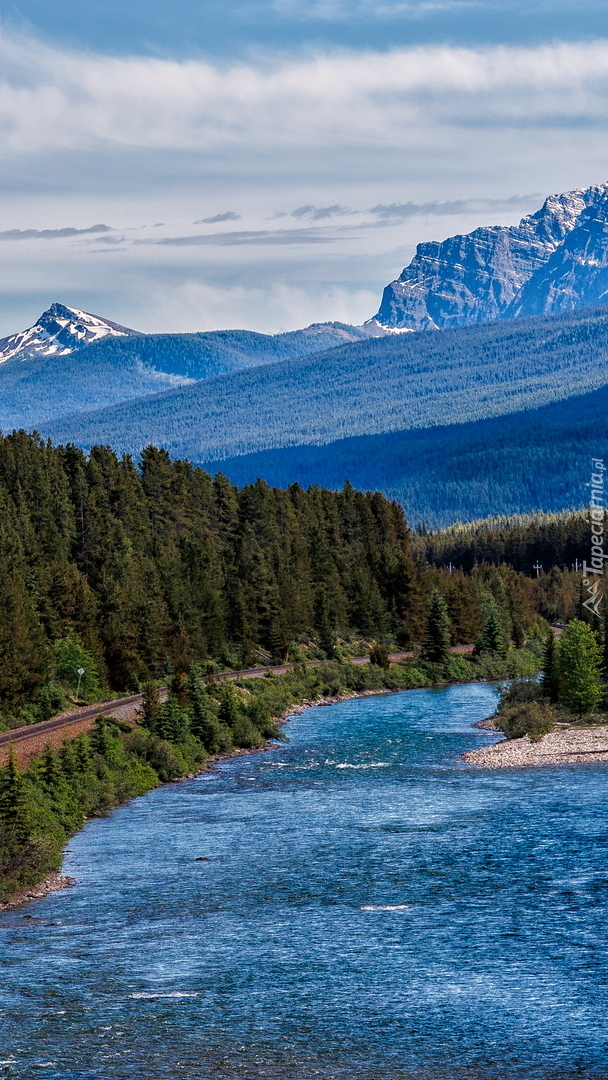 Las nad rzeką Bow River w górach Skalistych