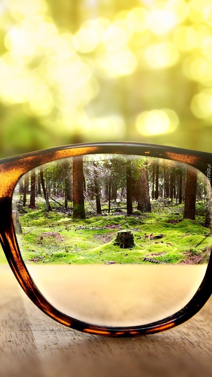 Las widziany przez okulary