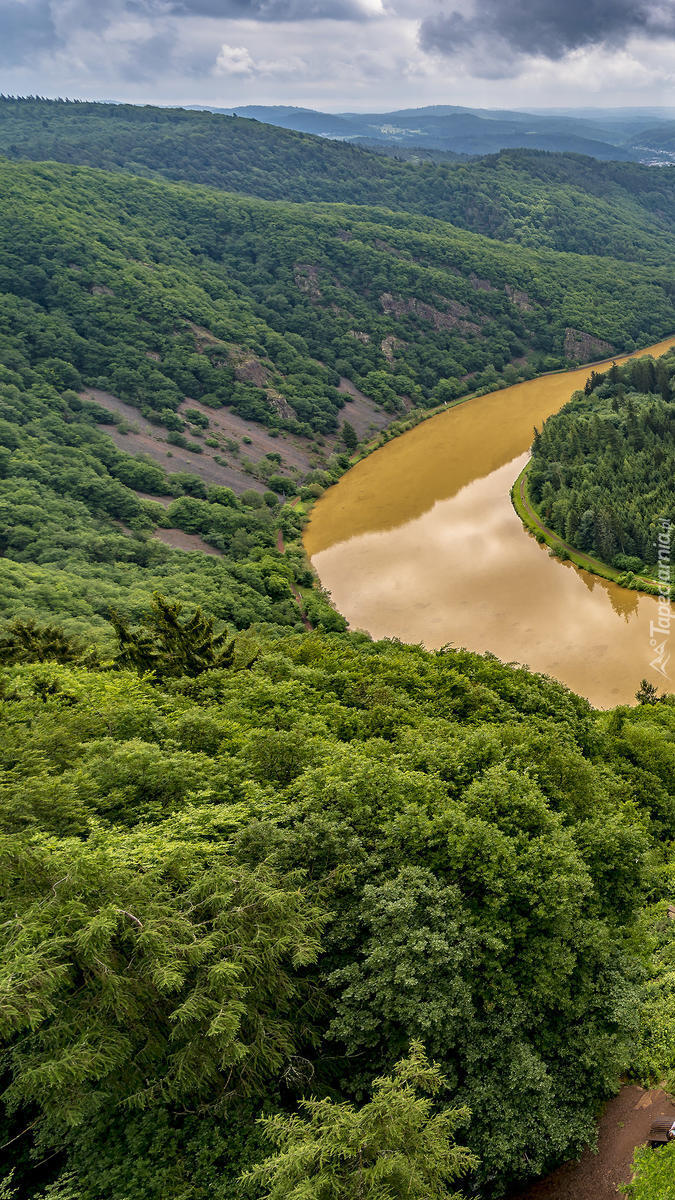 Lasy nad rzeką Saara River