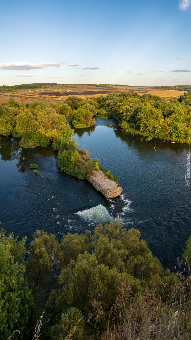 Lasy nad rzeką