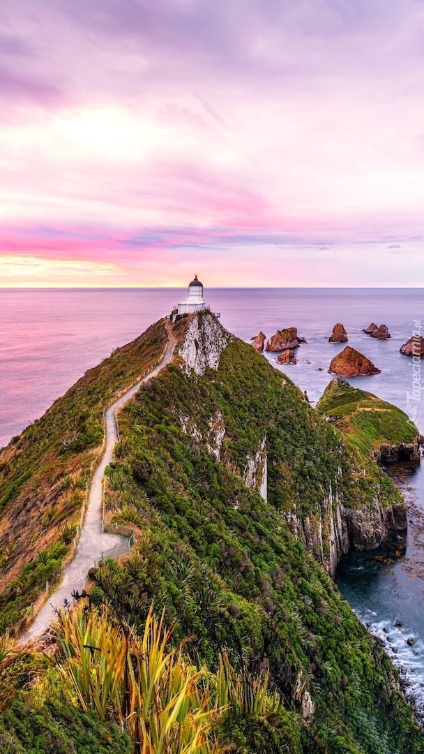 Latarnia morska Nugget Point Lighthouse