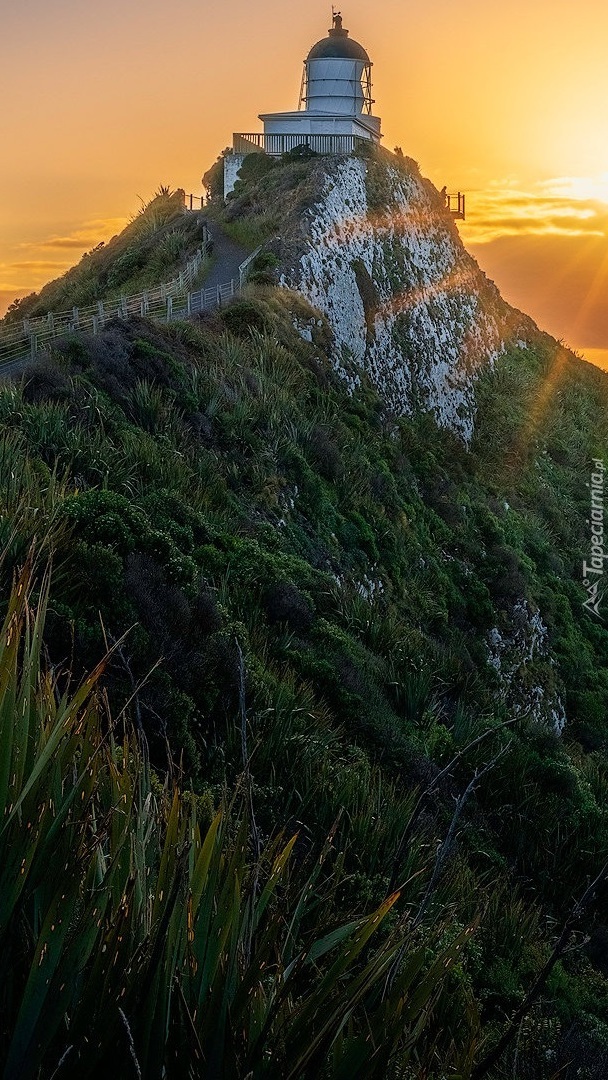 Latarnia morska Nugget Point Lighthouse