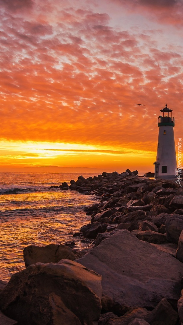 Latarnia morska Walton Lighthouse w Santa Cruz