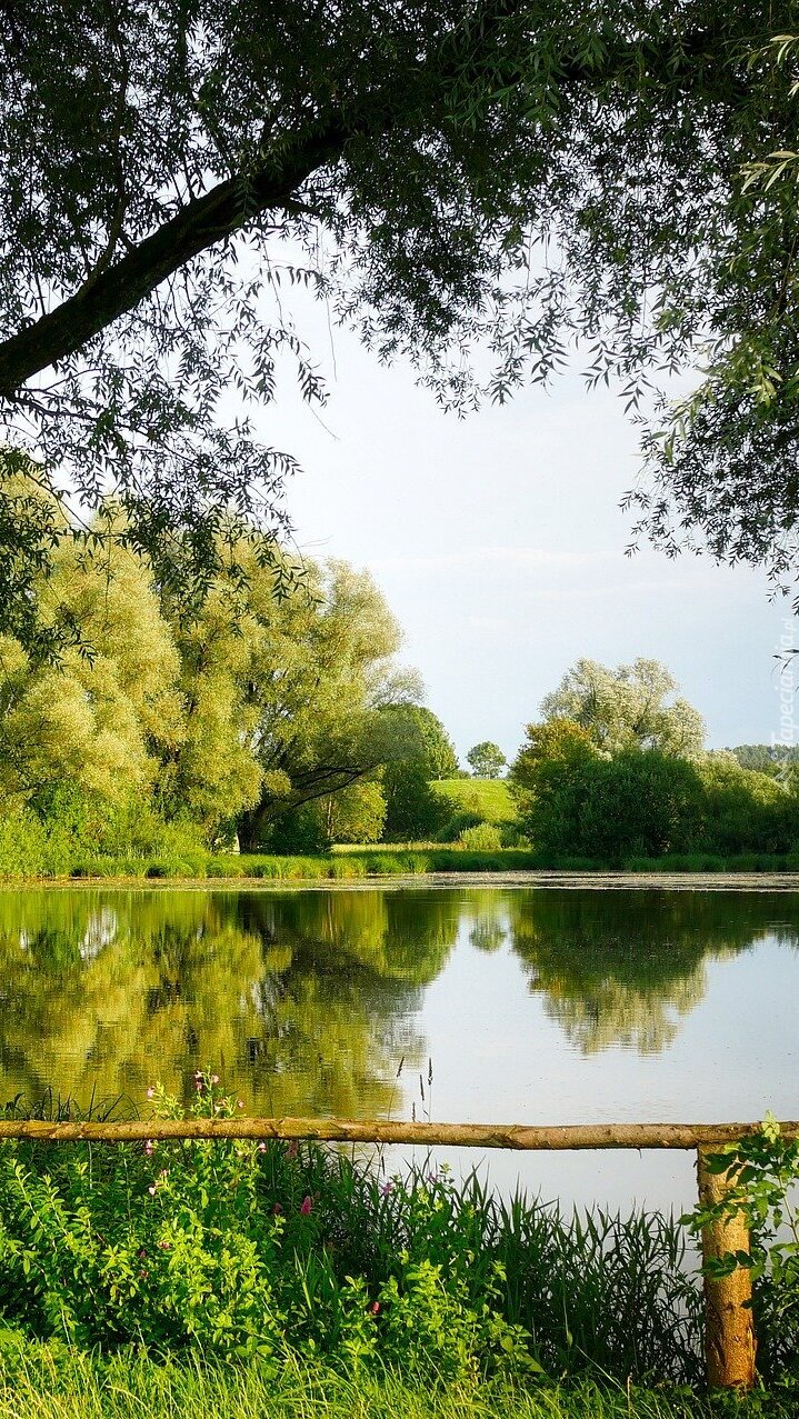 Lato nad jeziorem