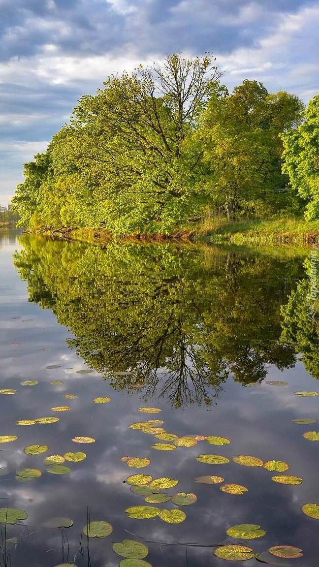 Lato nad rzeką