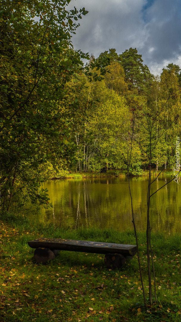 Ławeczka nad stawem