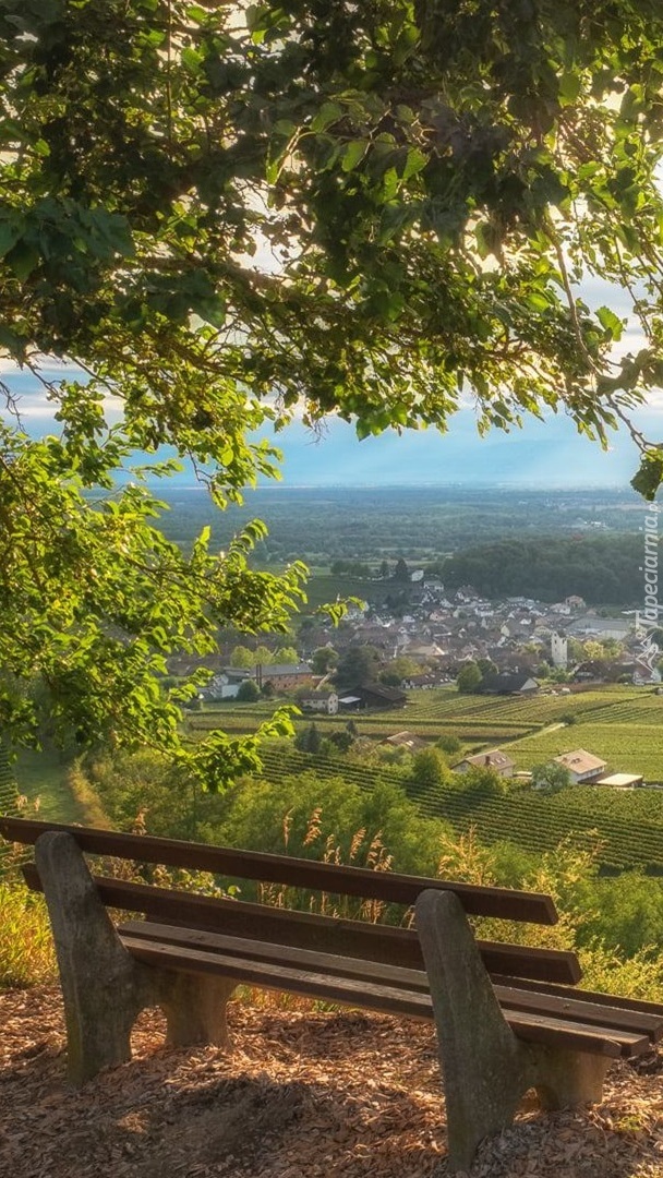 Ławka na wzgórzach Kaiserstuhl