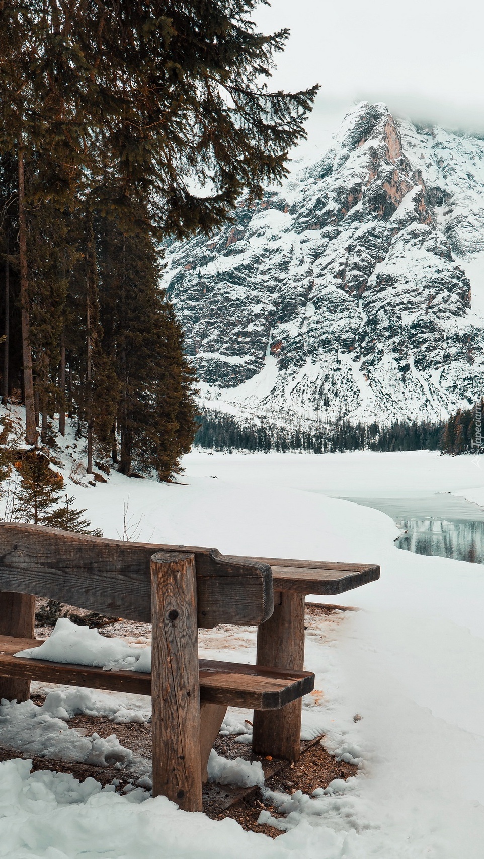 Ławka nad jeziorem Pragser Wildsee