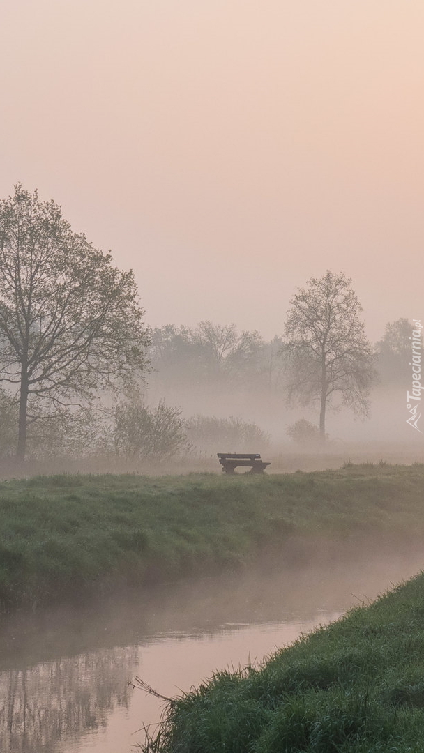 Ławka nad rzeką we mgle