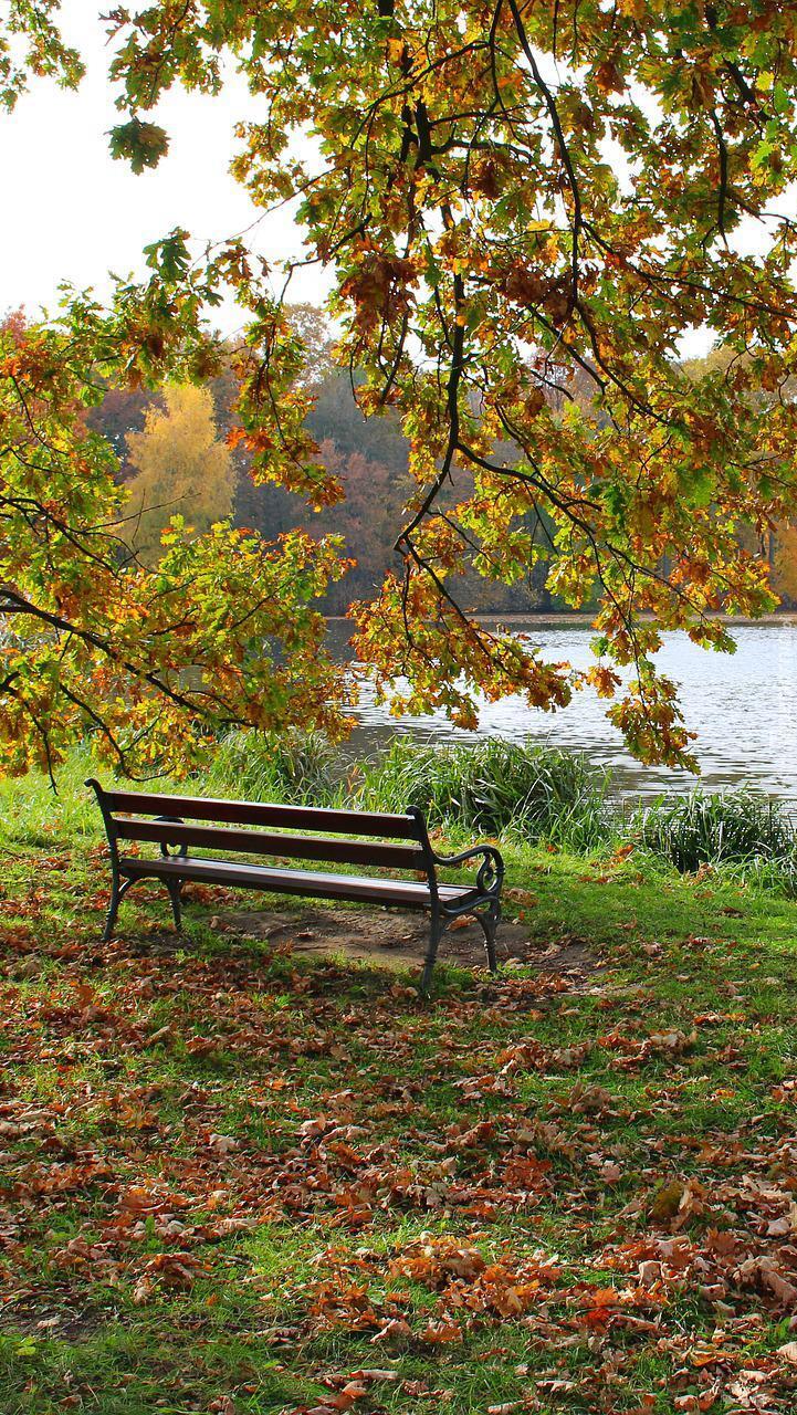 Ławka nad stawem