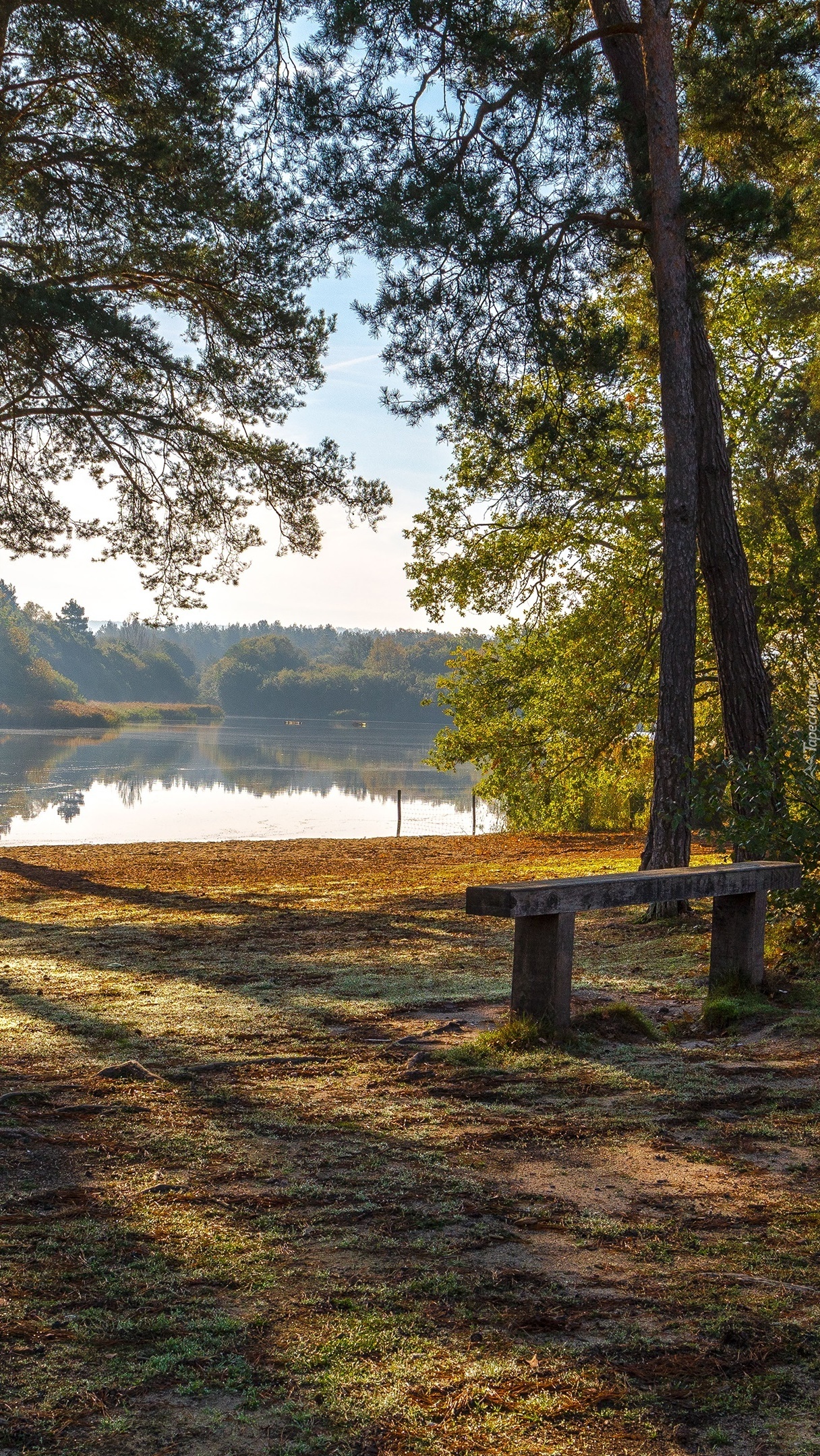 Ławka pod drzewami nad rzeką