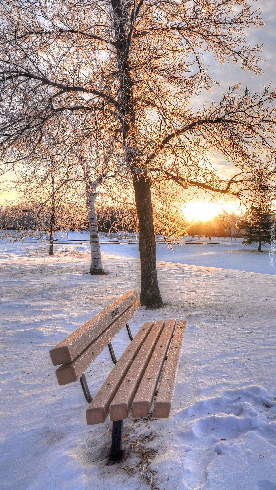 Ławka w parku zimą