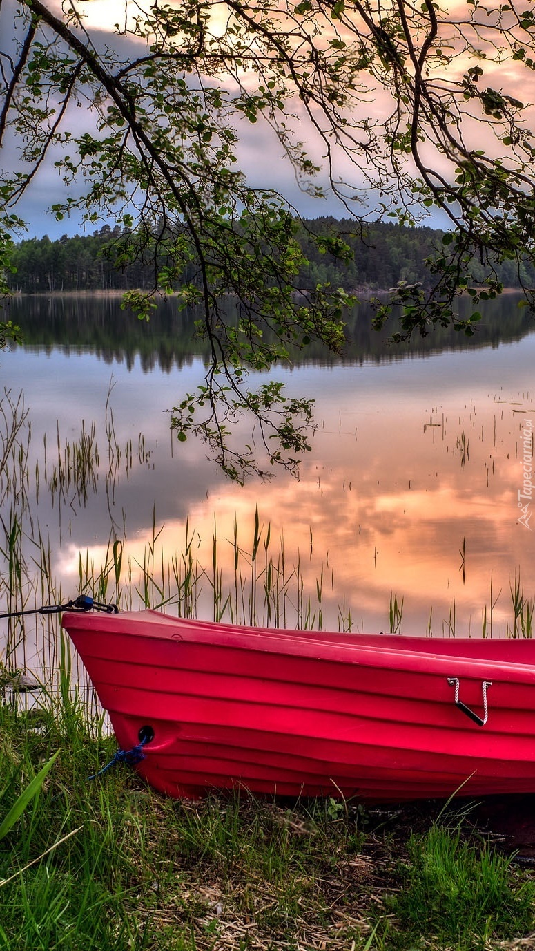 Leśne jezioro z czerwoną łódką