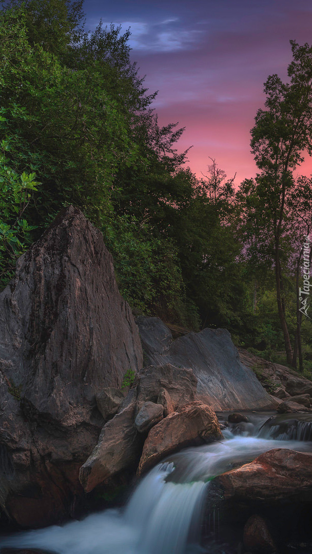 Leśne skały i kamienista rzeczka o zachodzie słońca