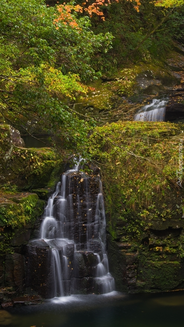 Leśny skalny wodospad