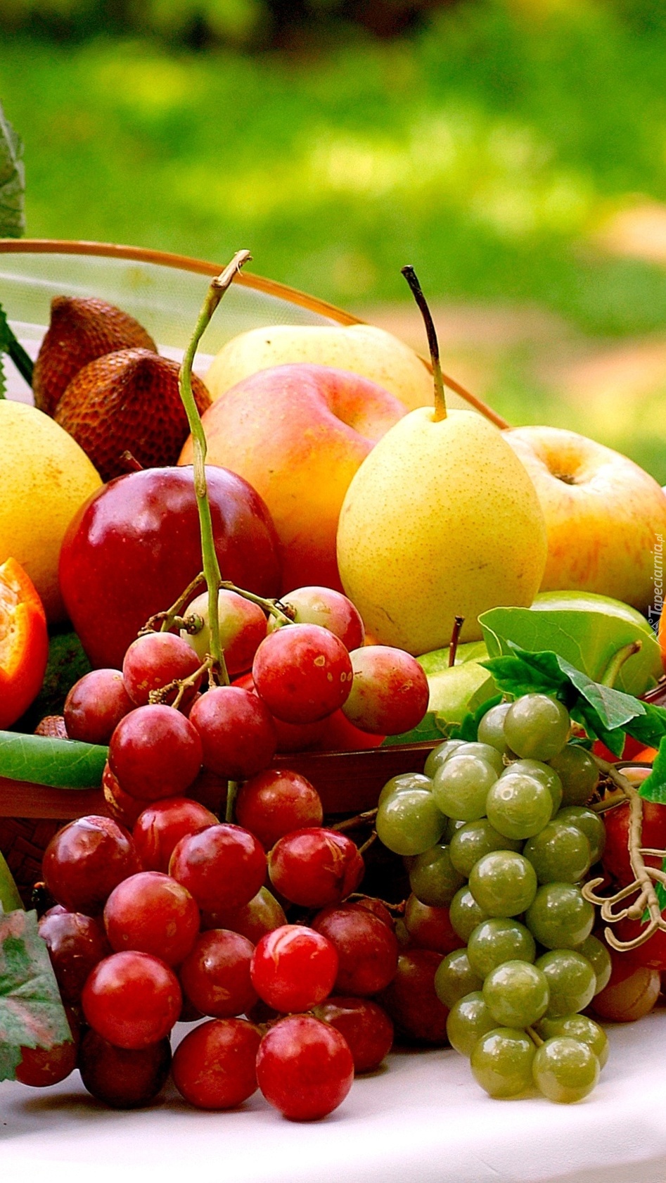 Grape pear. Фрукты в августе. Августовские фрукты. Виноград и яблоки. Фрукты яблоки виноград.