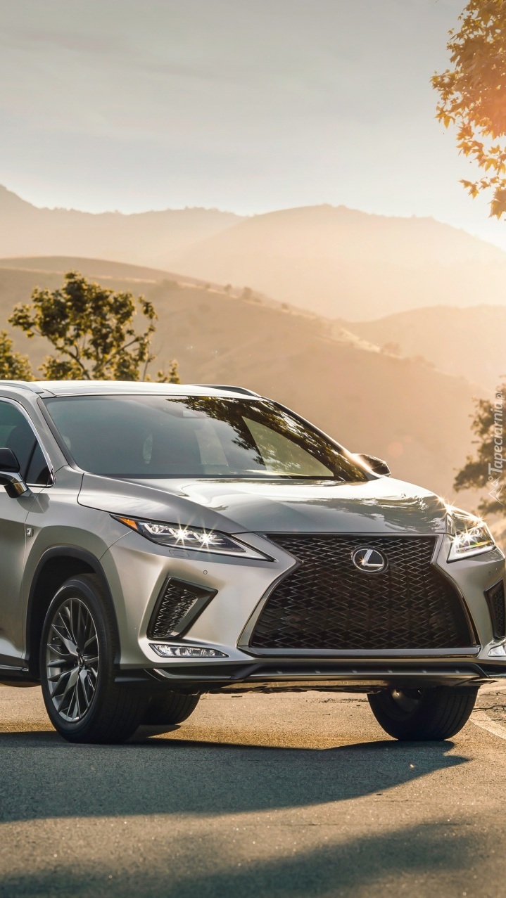 Lexus RX 350 F