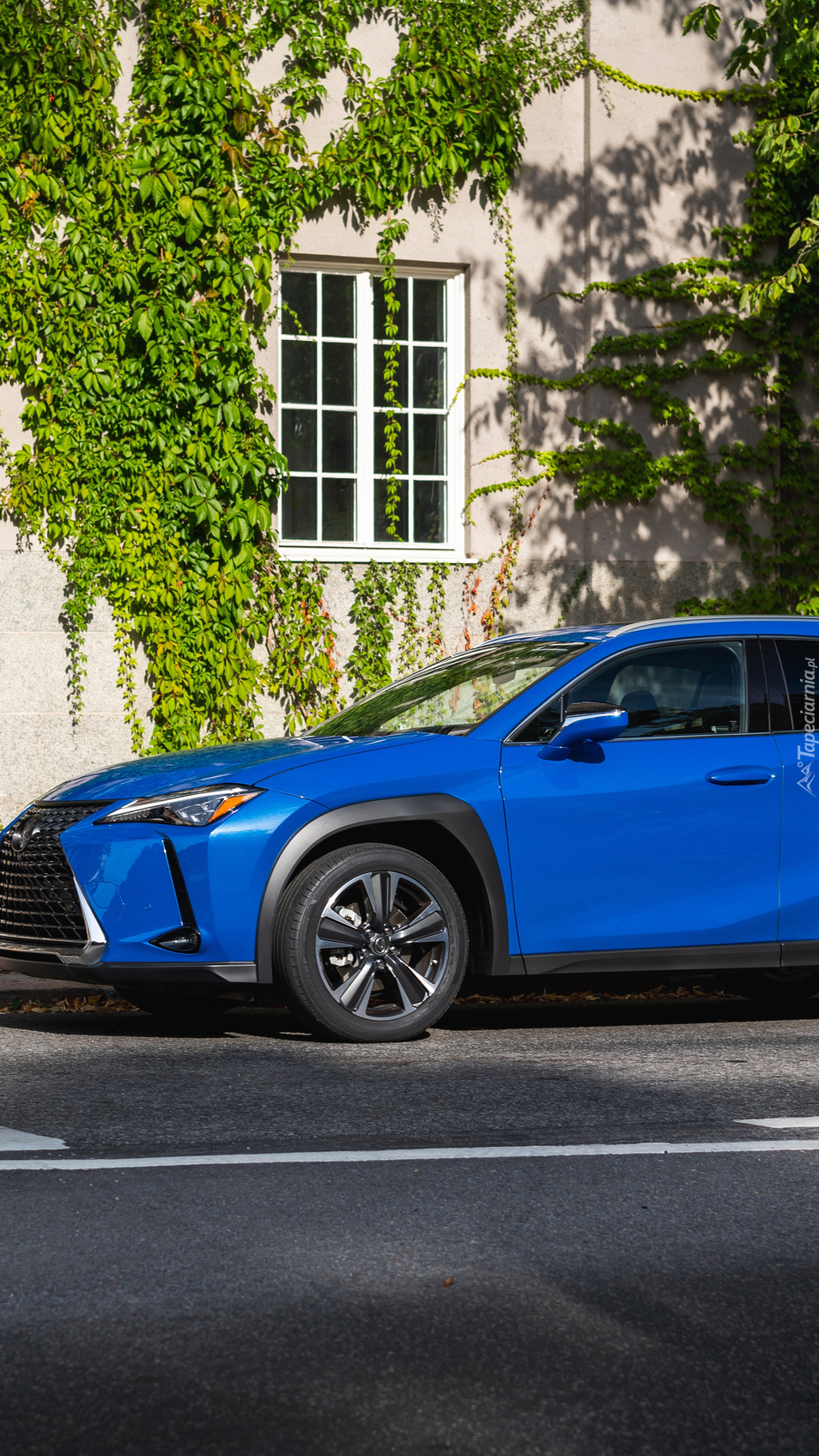 Lexus UX 250h