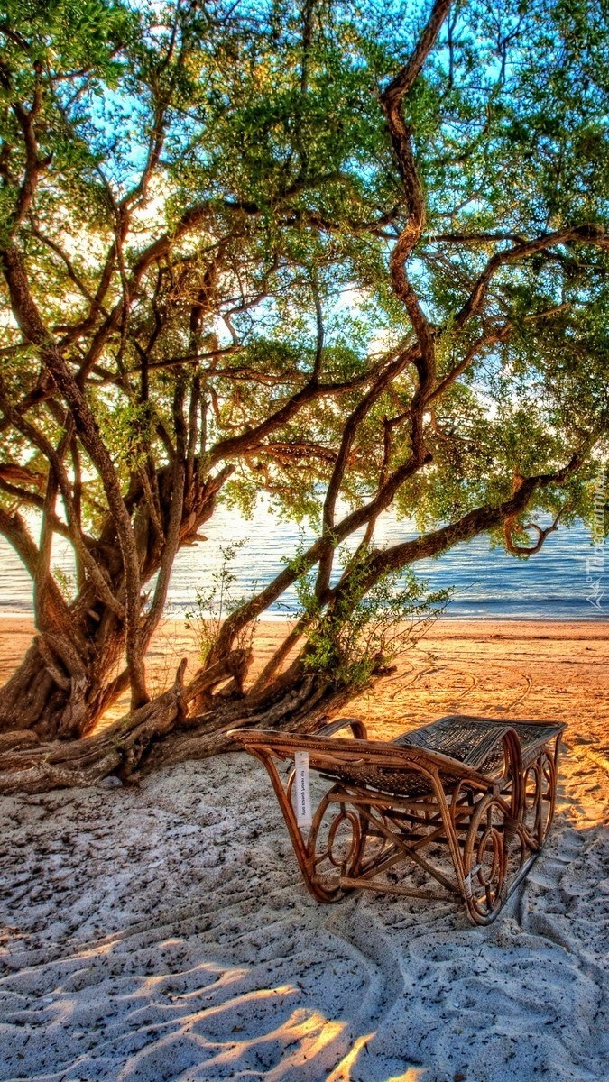 Leżak na plaży