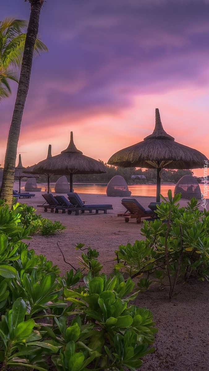 Leżaki pod parasolami na wyspie Mauritius