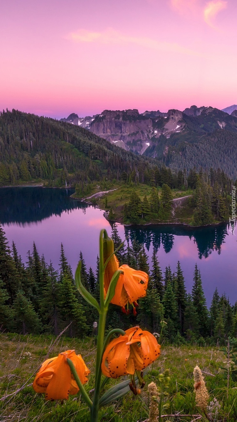 Lilie z widokiem na jezioro i góry