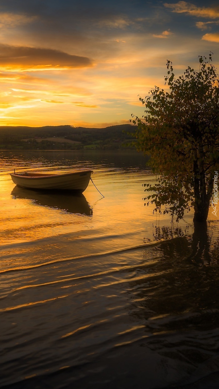 Łódka na rzece o zachodzie słońca