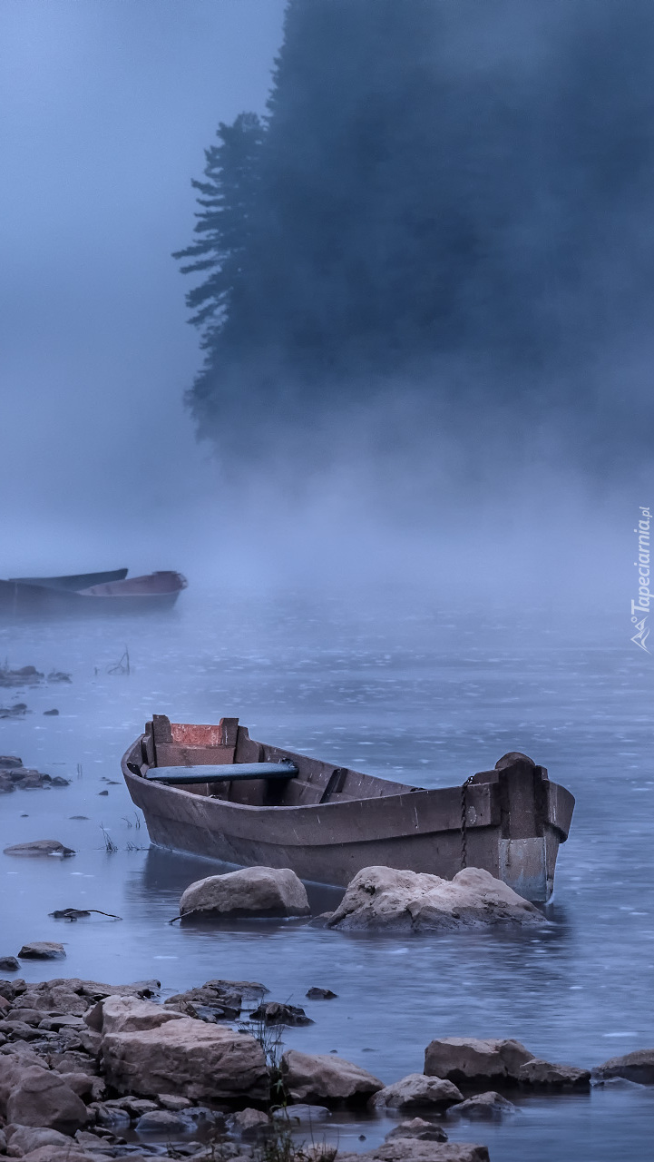 Łódka na rzece we mgle