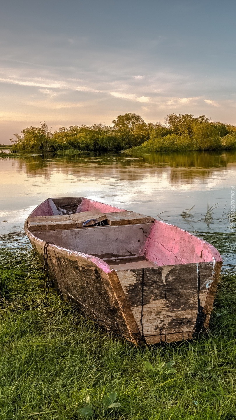 Łódka nad rzeką Biebrzą