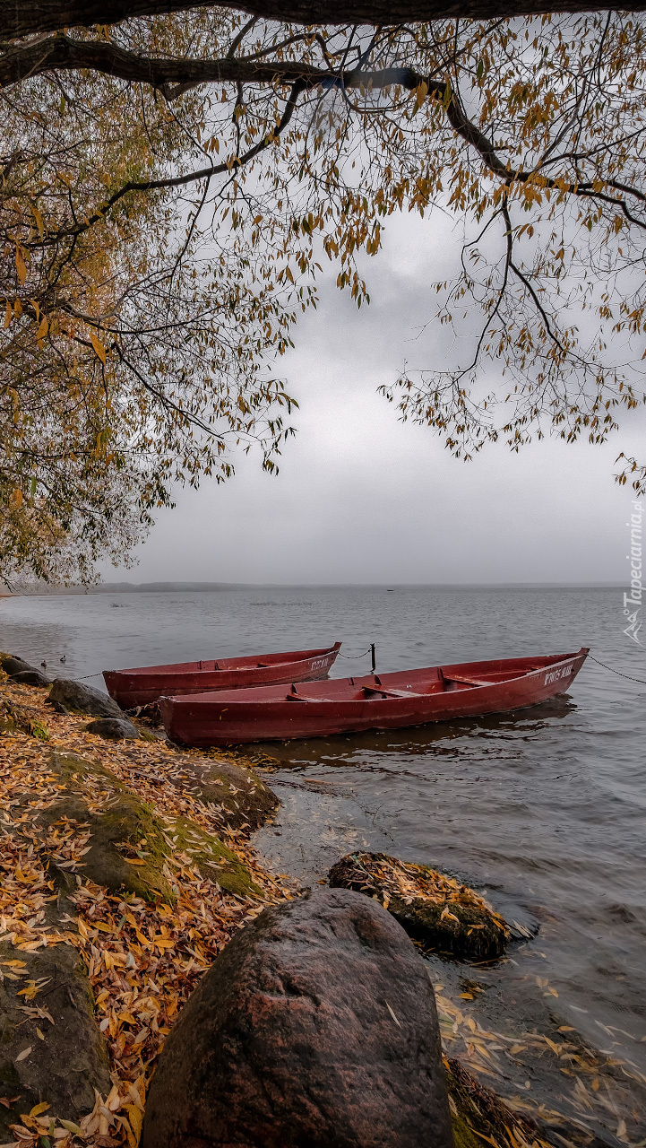 Łódki na brzegu jeziora