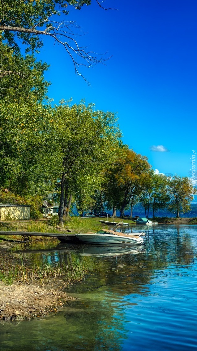 Łódki na brzegu jeziora