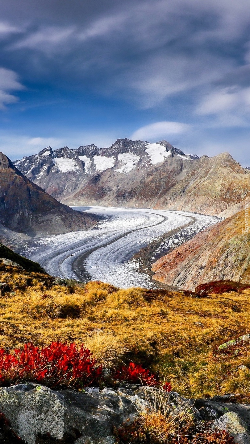 Lodowiec Aletschgletscher