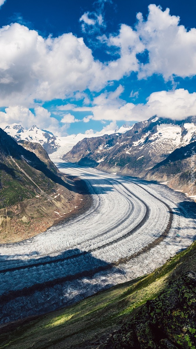 Lodowiec Aletschgletscher w Alpach Berneńskich