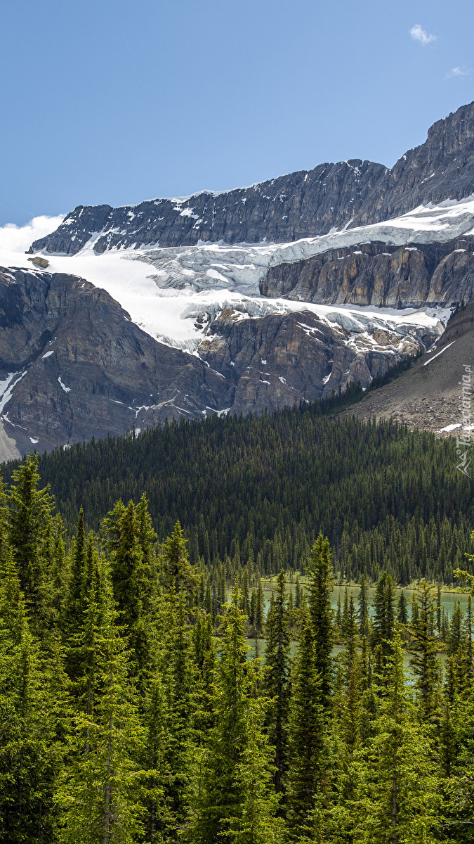 Lodowiec Crowfoot Glacier w Kanadzie