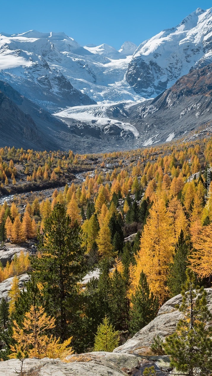 Lodowiec Morteratschgletscher