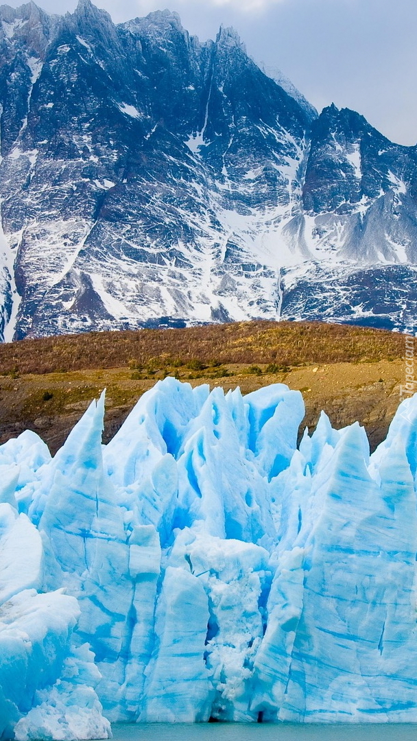 Lodowiec Perito Moreno w Patagonii