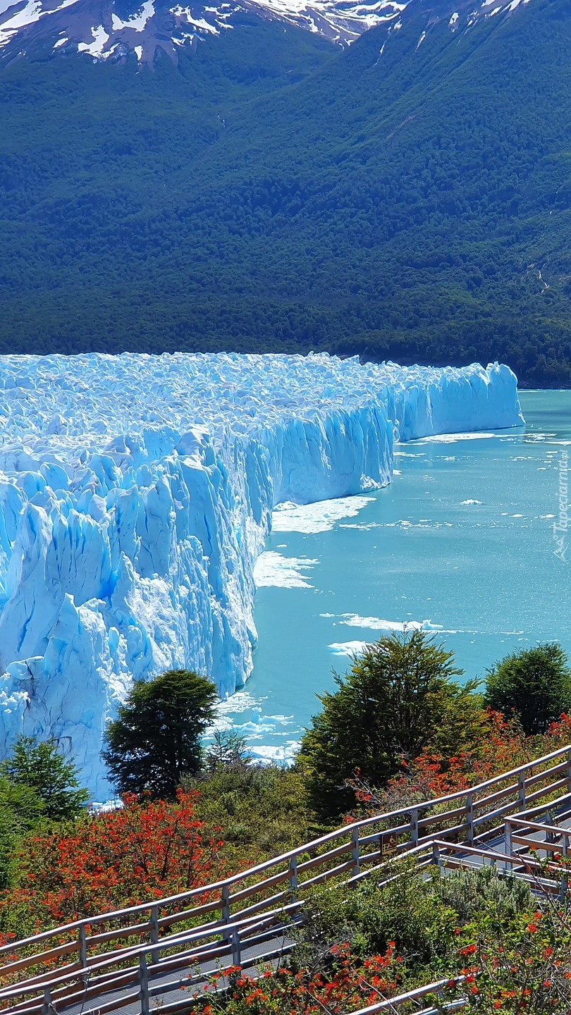 Lodowiec Perito Moreno