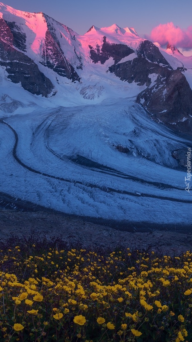 Lodowiec Pers Glacier