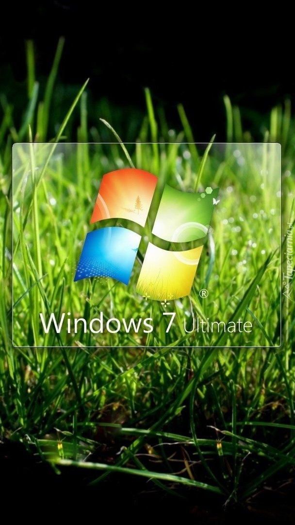 Logo Windows 7