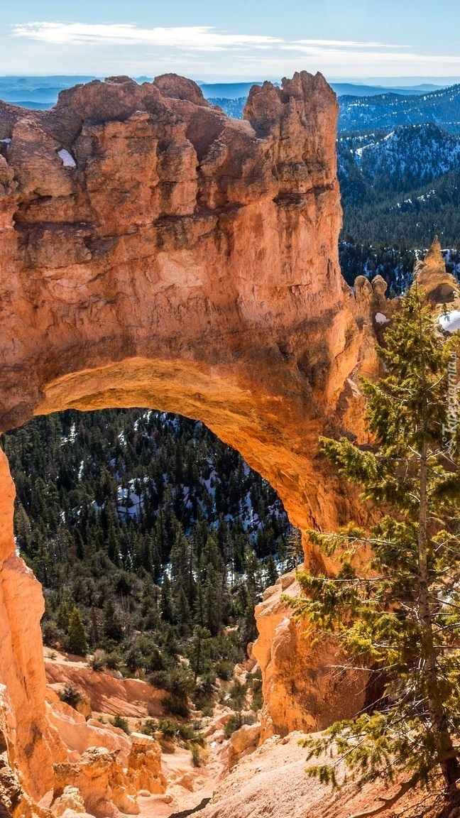 Łuk Natural Bridge w kanionie