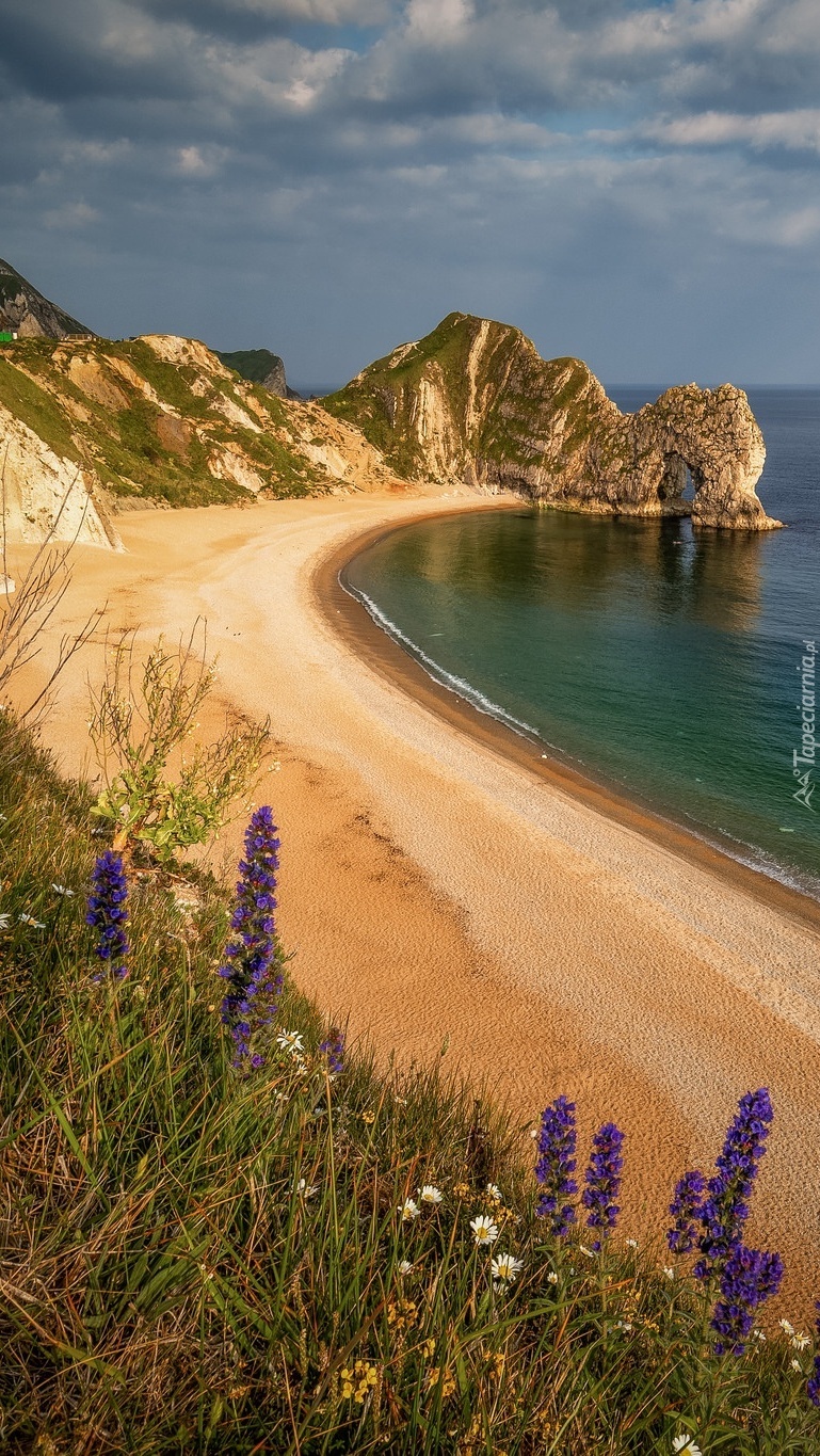 Łuk wapienny Durdle Door