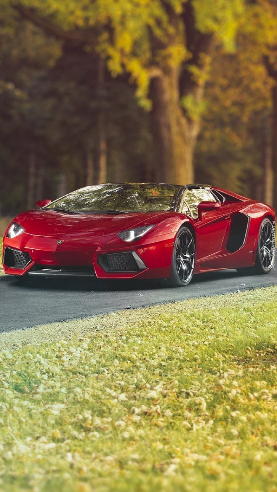 Luksusowe Lamborghini Aventador