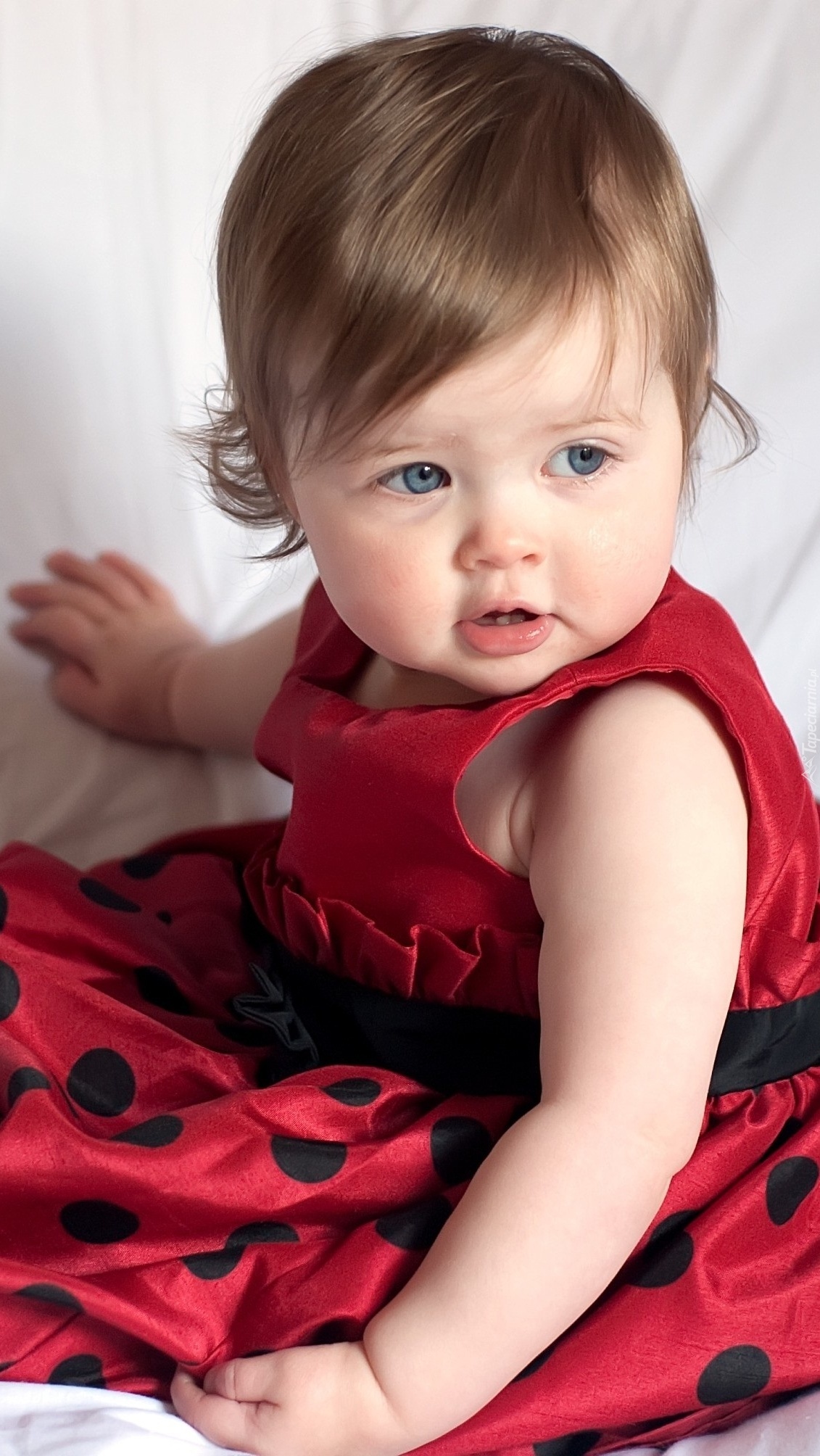 Mała dziewczynka w czerwonej sukience w groszki