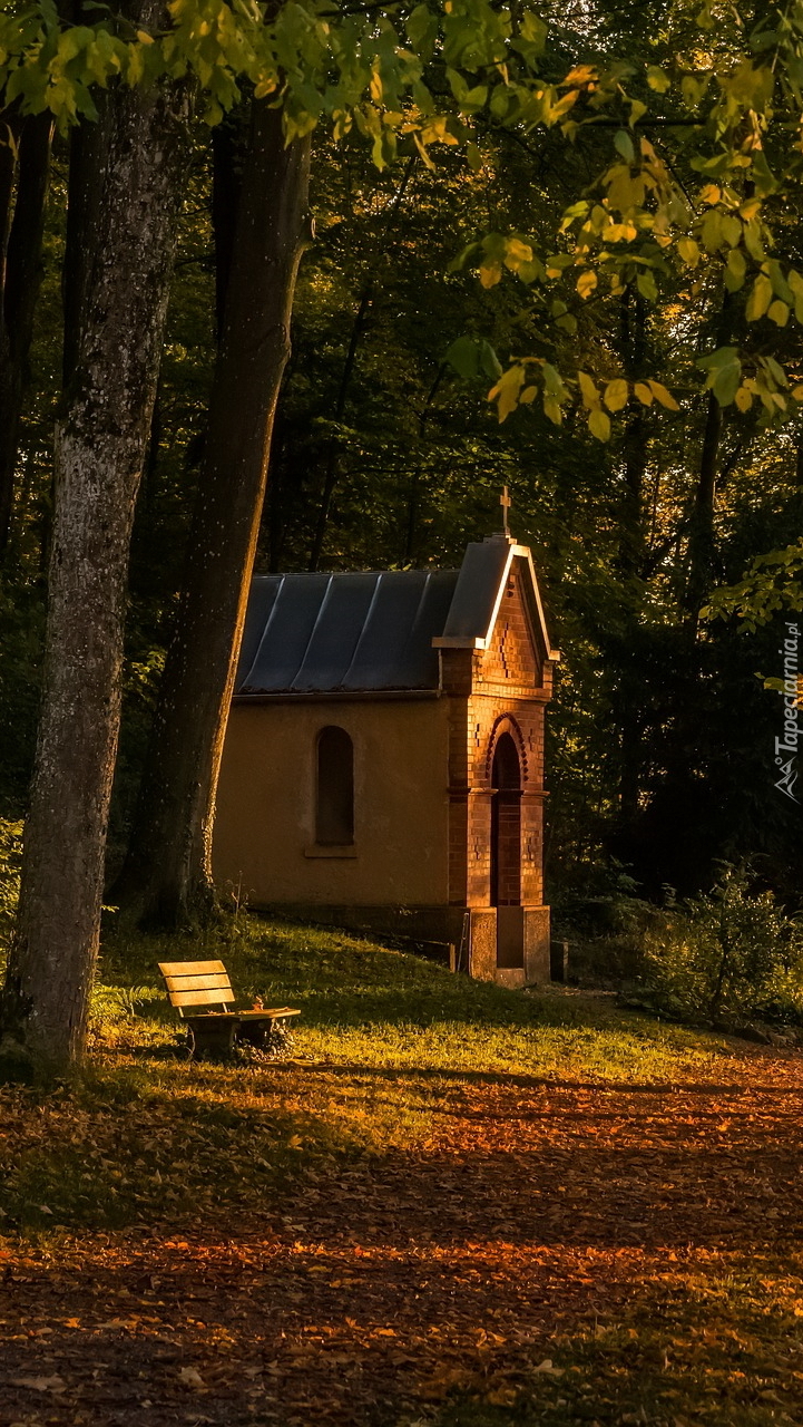 Mała kapliczka w lesie