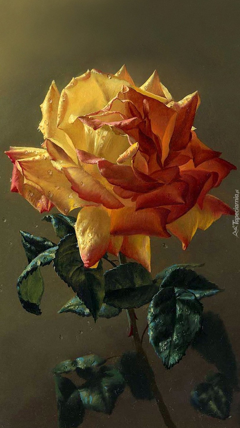 Malowana róża na obrazie