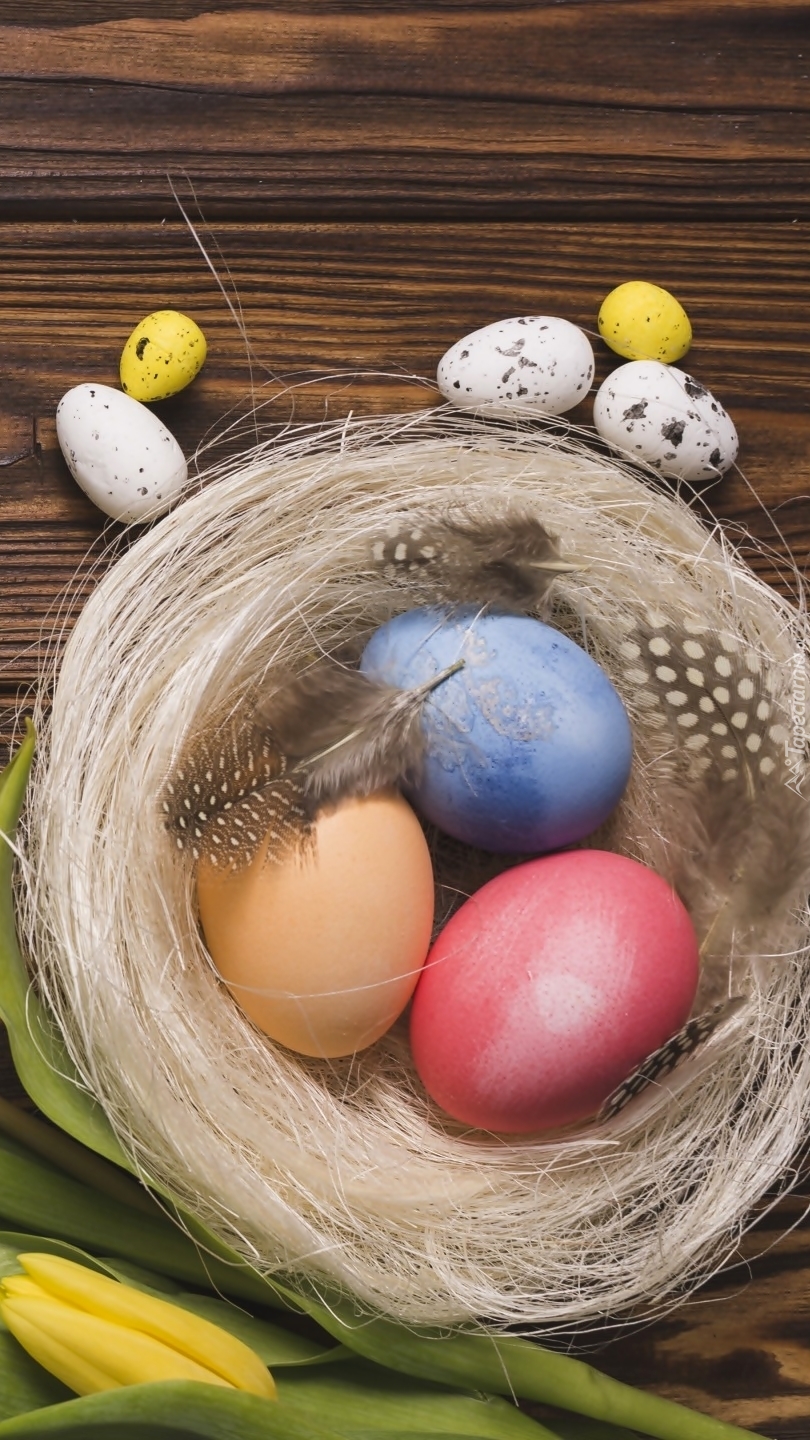 Malowane jajka w gnieździe