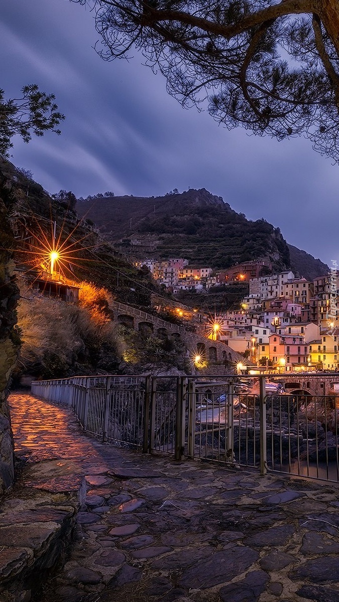 Manarola nocą